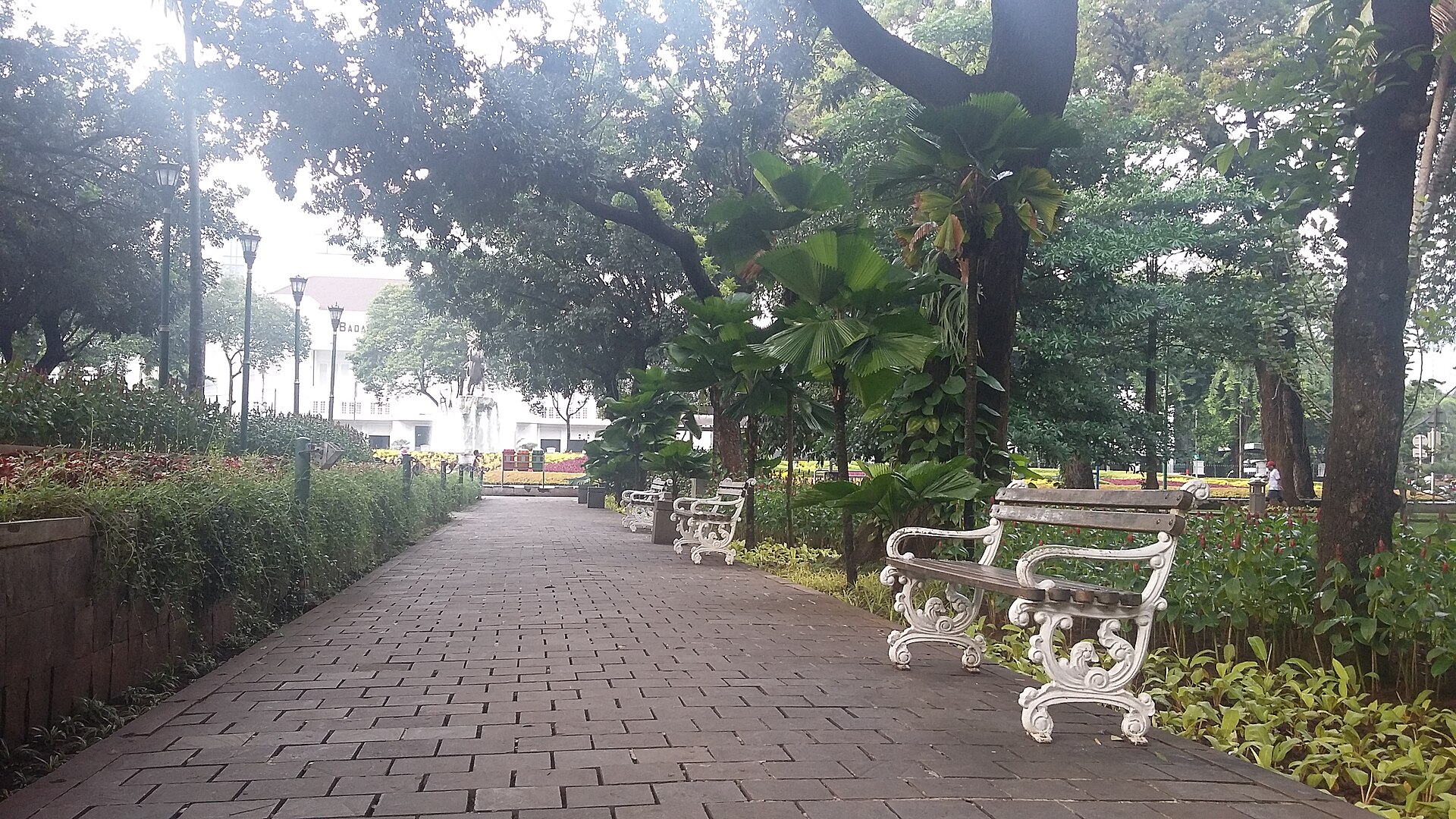 Bangku taman dan jalur di bawah naungan pohon Taman Suropati